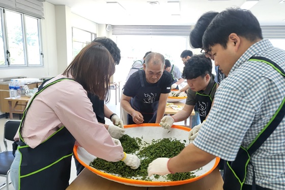 보성군 영천마을